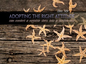 I am free of the need to be right. I am free of the need to be right.