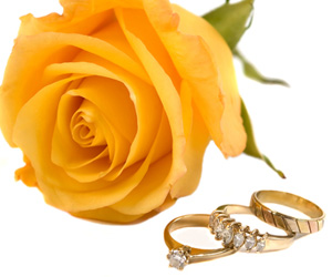 Cushion Cut Engagement Rings
