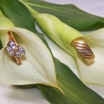 Black Diamond Engagement Rings